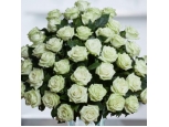 The Color of Your Day - 48 Stems In Bouquet